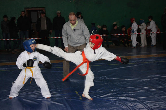 Чемпіонат області з рукопашного бою відбувся в Радомишлі Чемпіонат області з рукопашного бою відбувся в Радомишлі