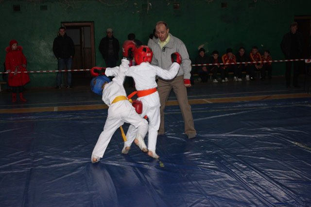 Чемпіонат області з рукопашного бою відбувся в Радомишлі Чемпіонат області з рукопашного бою відбувся в Радомишлі