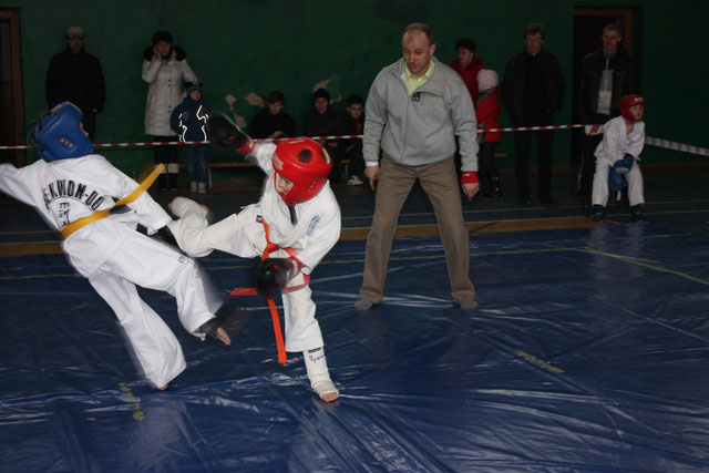 Чемпіонат області з рукопашного бою відбувся в Радомишлі Чемпіонат області з рукопашного бою відбувся в Радомишлі