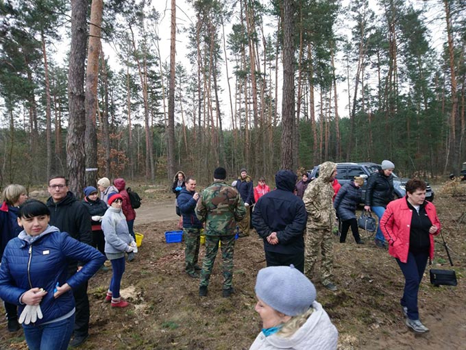 Працівники Радомишльської міської ради долучилися до всеукраїнської акції «Майбутнє лісу – у твоїх руках» + ФОТО