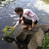 5 ЛИПНЯ У РАДОМИШЛІ СВЯТКУВАТИМУТЬ ІВАНА КУПАЛА 5 ЛИПНЯ У РАДОМИШЛІ СВЯТКУВАТИМУТЬ ІВАНА КУПАЛА